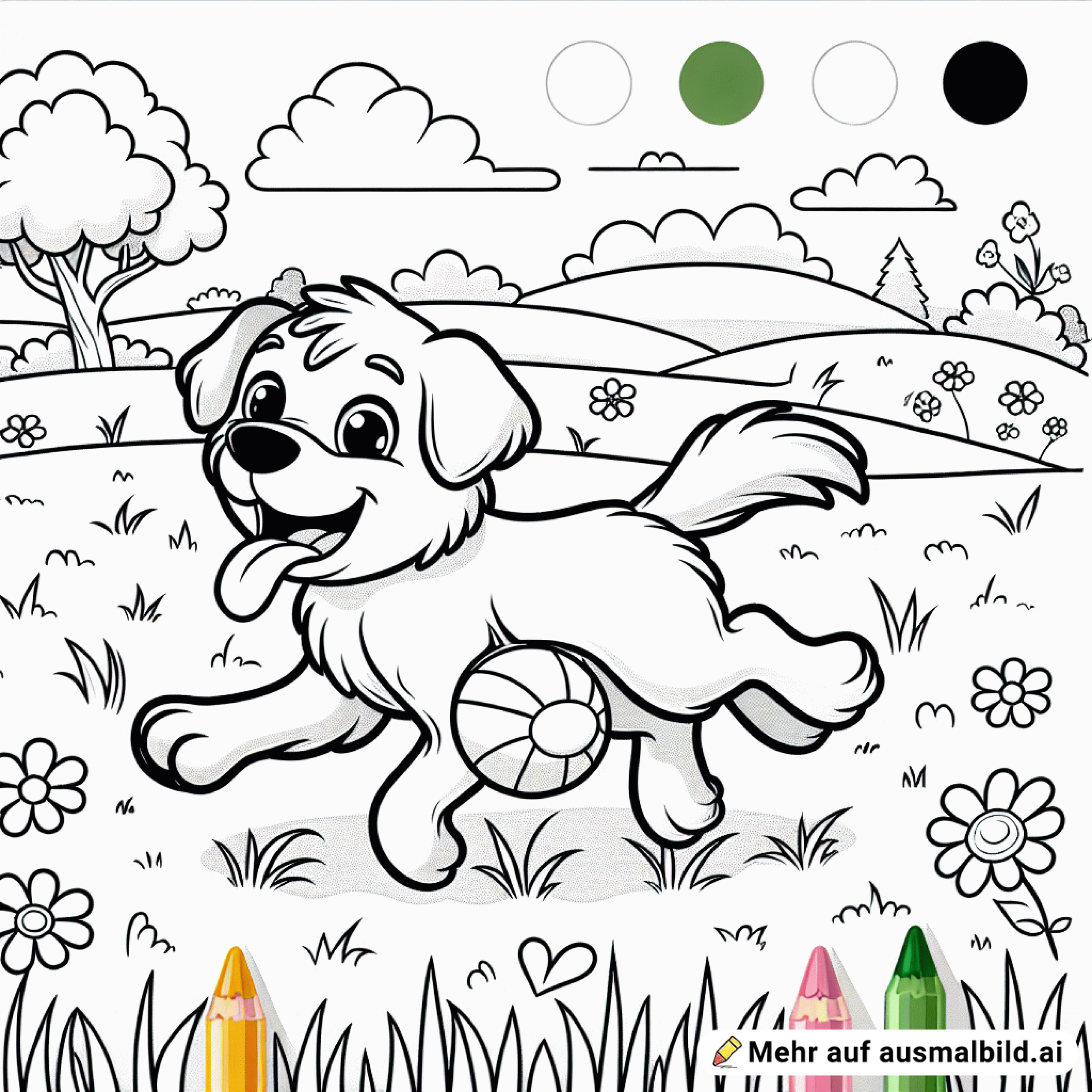 Ein Hund rennt über eine Wiese mit Ball